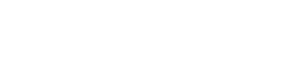 SEGUROS ASE